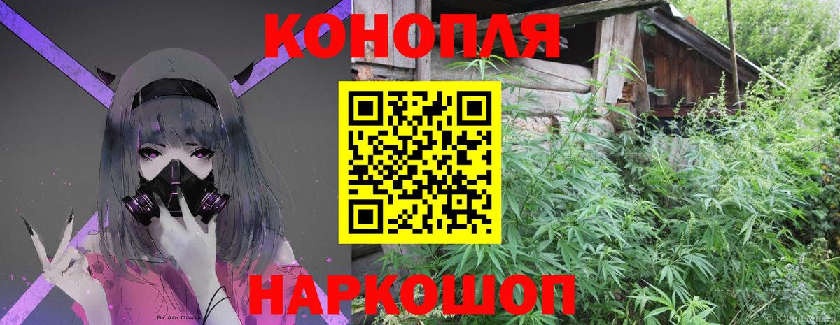 Каннабис OG Kush Егорьевск